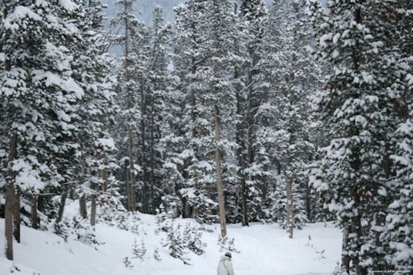 Hotel PARK CONDOS BY RESORT PROPERTY MANAGEMEN (Big Sky)